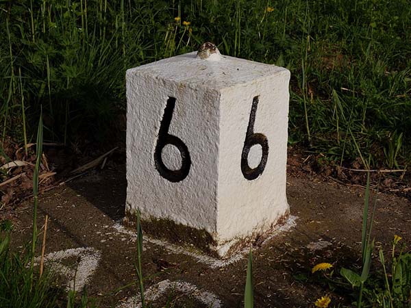 যদি আপনার 'সোল নম্বর' ৬