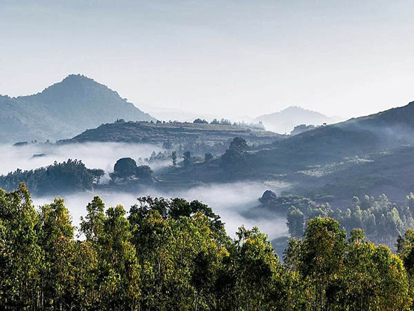আরাকু ভ্যালি