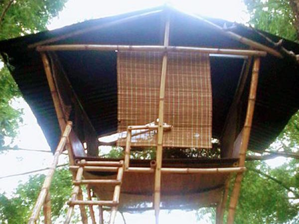প্রকিউপাইন ক্যাস্টেল