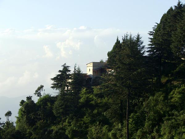দক্ষিণ ভারত ও ট্রি হাউস