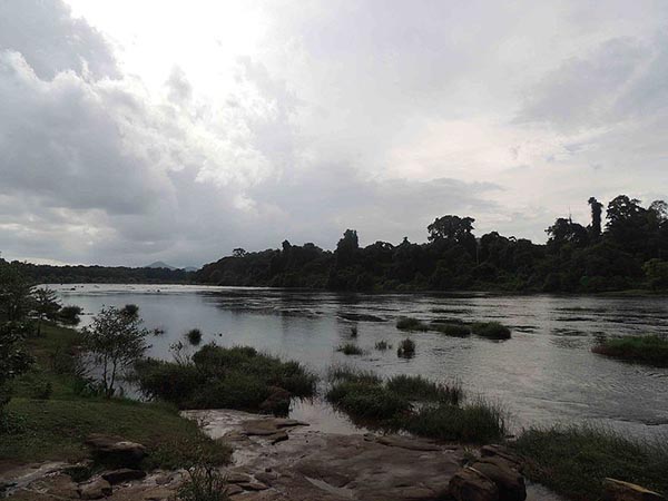 ইলাভিঝা পুঞ্চিরা
