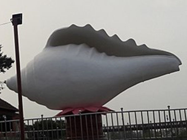 এক ঘরে থাকবে না দুটি শাঁখ