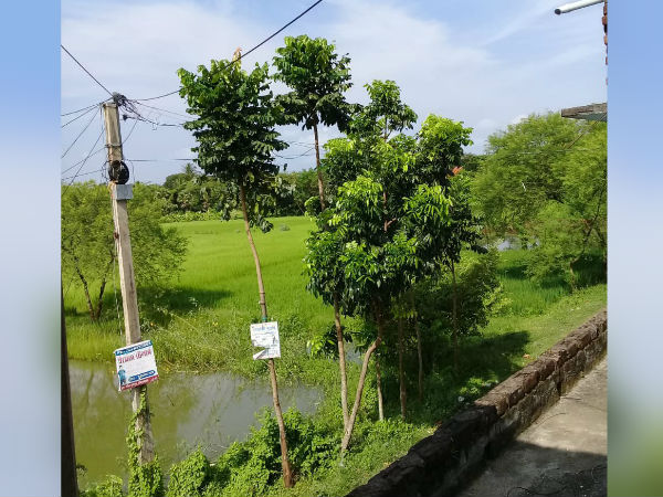 মিড ডে মিলে ভুতুড়ে অঙ্ক! ফের শিরোনামে দুর্গাপুর চঞ্চলাময়ী আদর্শ বিদ্যাপীঠ, তদন্তের আশ্বাস মিড ডে মিলে ভুতুড়ে অঙ্ক! ফের শিরোনামে দুর্গাপুর চঞ্চলাময়ী আদর্শ বিদ্যাপীঠ, তদন্তের আশ্বাস