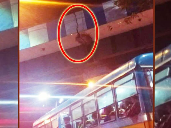 চিংড়িহাটা ব্রিজের ভবিষ্যত কি মাঝেরহাটের মতো! নতুন সিদ্ধান্তের ঘোষণায় মন্ত্রী চিংড়িহাটা ব্রিজের ভবিষ্যত কি মাঝেরহাটের মতো! নতুন সিদ্ধান্তের ঘোষণায় মন্ত্রী