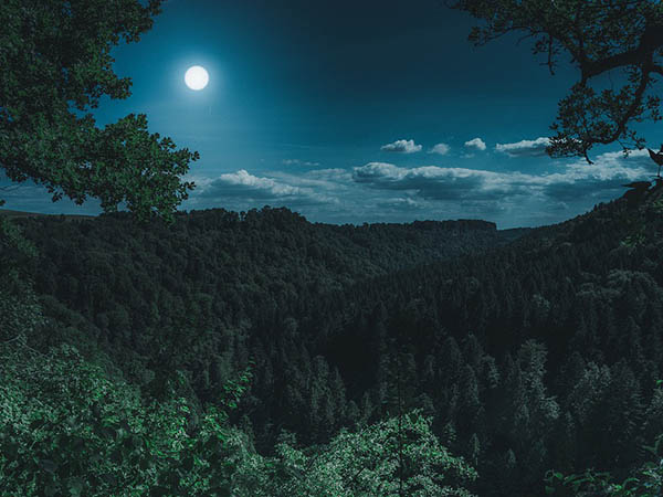 দোষ কাটানোর সময়