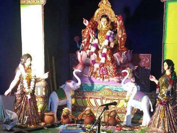 সাদা ফুলে পুজো নয়!