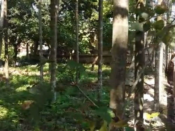 বারাসতে ভোরবেলায় মহিলাকে গণধর্ষণ করে খুনের চেষ্টা, আতঙ্ক এলাকায় বারাসতে ভোরবেলায় মহিলাকে গণধর্ষণ করে খুনের চেষ্টা, আতঙ্ক এলাকায়