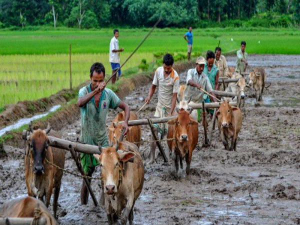 প্রভাব যেসব জেলায়
