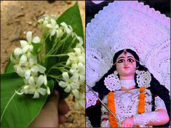 কুড়চি ফুলের মালা পরিয়ে সন্ধিপুজোই রীতি পালবাড়িতে, প্রকৃতি পুজোর অনুষঙ্গে দুর্গা-বন্দনা কুড়চি ফুলের মালা পরিয়ে সন্ধিপুজোই রীতি পালবাড়িতে, প্রকৃতি পুজোর অনুষঙ্গে দুর্গা-বন্দনা