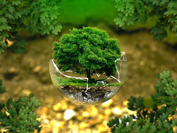 ।।সবুজ বিরোহী।।