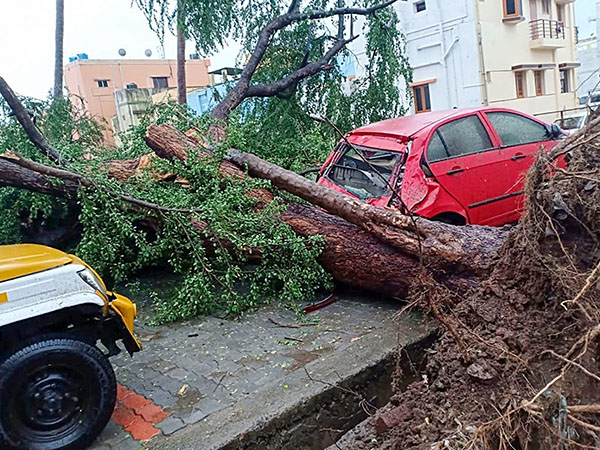 ক্ষতিগ্রস্ত উপকূলবর্তী এলাকা