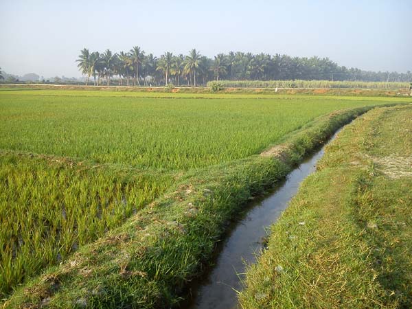উদ্যোগ সরকারের