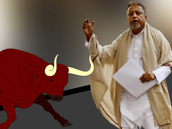 মুকুলকে ষাঁড়ের তাড়া! উত্তরবঙ্গ সফরে নিয়ে পড়লেন মহা ফ্যাসাদে মুকুলকে ষাঁড়ের তাড়া! উত্তরবঙ্গ সফরে নিয়ে পড়লেন মহা ফ্যাসাদে