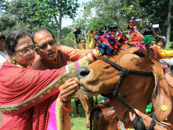 বিক্ষোভ বিজেপিকে ঘিরে
