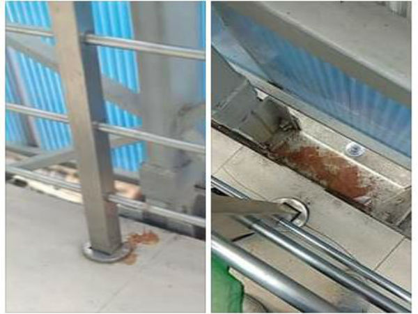 উদ্বোধনের ২৪ ঘন্টার মধ্যেই স্কাইওয়াকে গুটকা প্রেমীদের দাপাদাপি! সোশ্যাল মিডিয়ায় প্রতিবাদের ঝড় উদ্বোধনের ২৪ ঘন্টার মধ্যেই স্কাইওয়াকে গুটকা প্রেমীদের দাপাদাপি! সোশ্যাল মিডিয়ায় প্রতিবাদের ঝড়