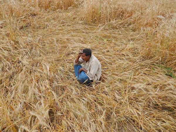 কৃষকদের প্রশিক্ষণের প্রস্তাব