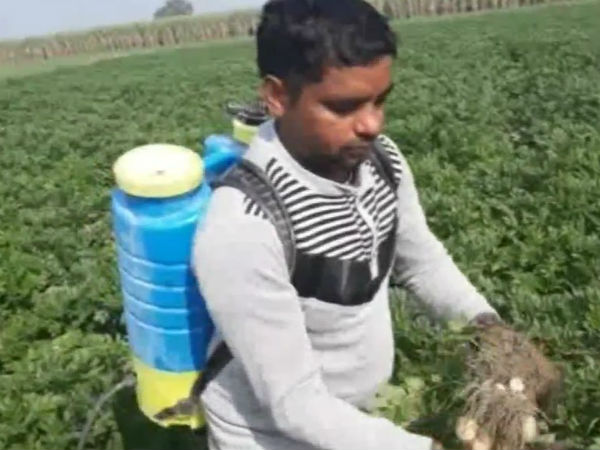 বিজ্ঞানীদের নিষেধ