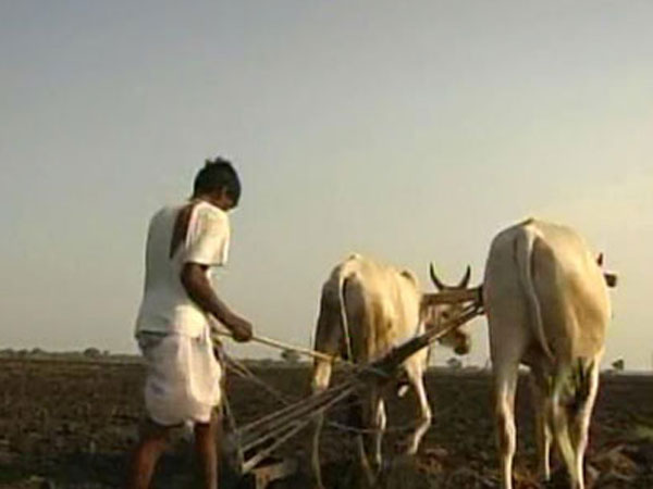 বোনাসের প্রস্তাব