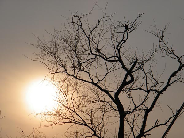 উত্তরবঙ্গের আবহাওয়া