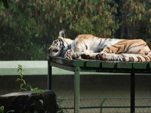 পশ্চিমাঞ্চলের আবহাওয়া