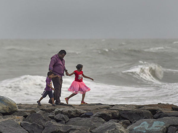 পাবুকের অভিমুখ আন্দামান