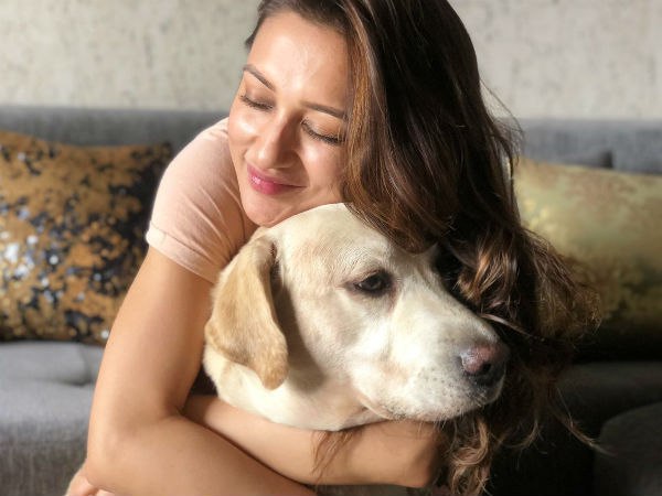 ওদের ওই ভাবেই পিটিয়ে মেরে ফেলা হোক, এনআরএস-এ কুকুর মৃত্যু কাণ্ডে ক্ষুব্ধ মিমির বিস্ফোরক বার্তা ওদের ওই ভাবেই পিটিয়ে মেরে ফেলা হোক, এনআরএস-এ কুকুর মৃত্যু কাণ্ডে ক্ষুব্ধ মিমির বিস্ফোরক বার্তা