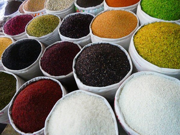 করোল বাগে শুরু ব্যবসা