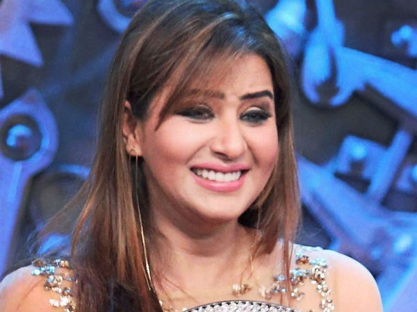 শিল্পার পা রাজনীতির ময়দানে