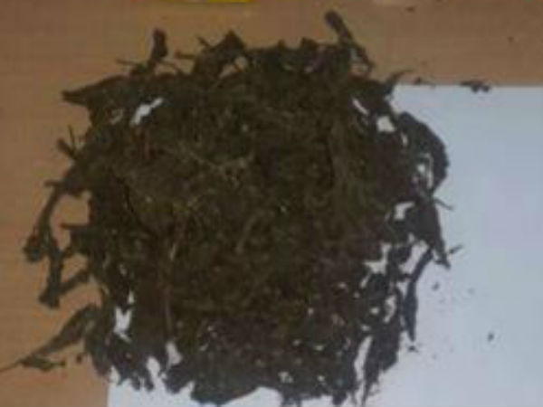 কলকাতার নামী স্কুলের পড়ুয়াদের কাছে নেশার সামগ্রি! গ্রেফতার ১ মহিলা কলকাতার নামী স্কুলের পড়ুয়াদের কাছে নেশার সামগ্রি! গ্রেফতার ১ মহিলা