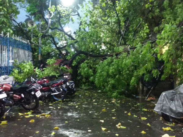 ৬৮ কিলোমিটার বেগে আছড়ে পড়ল কালবৈশাখী, ঝড়-বৃষ্টিতে লণ্ডভণ্ড কলকাতা, দেখুন ভিডিও ৬৮ কিলোমিটার বেগে আছড়ে পড়ল কালবৈশাখী, ঝড়-বৃষ্টিতে লণ্ডভণ্ড কলকাতা, দেখুন ভিডিও