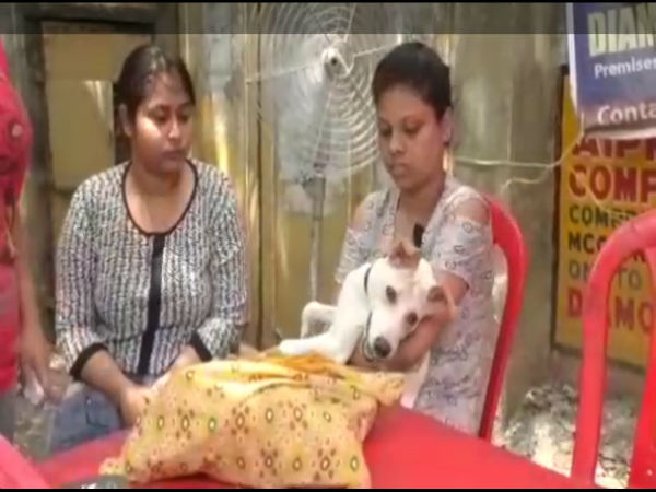 যেন না ফেরে এনআরএস-এর ঘটনা! পথে নেমে উদ্যোগ কুকুর প্রেমিদের যেন না ফেরে এনআরএস-এর ঘটনা! পথে নেমে উদ্যোগ কুকুর প্রেমিদের