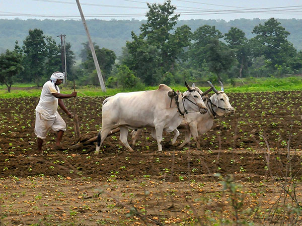 ভারতে বর্ষার বৃষ্টি অত্যন্ত গুরুত্বপূর্ণ