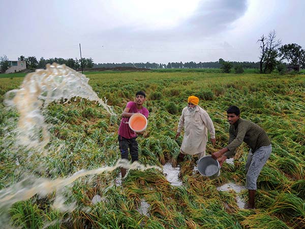 চারটি অঞ্চলেই এবার বর্ষার খামতি