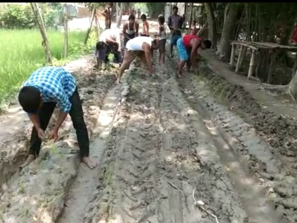কোচবিহারে বেহাল রাস্তায় ধান রোপণ করে প্রতিবাদ মানুষের কোচবিহারে বেহাল রাস্তায় ধান রোপণ করে প্রতিবাদ মানুষের