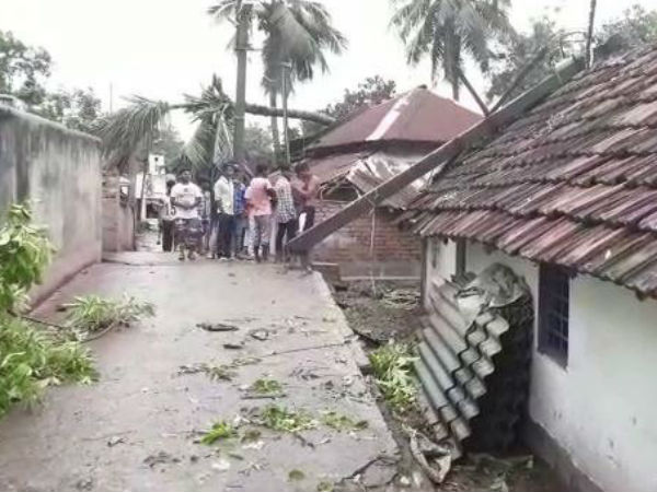 ঝড়ের প্রভাবে দিশেহারা