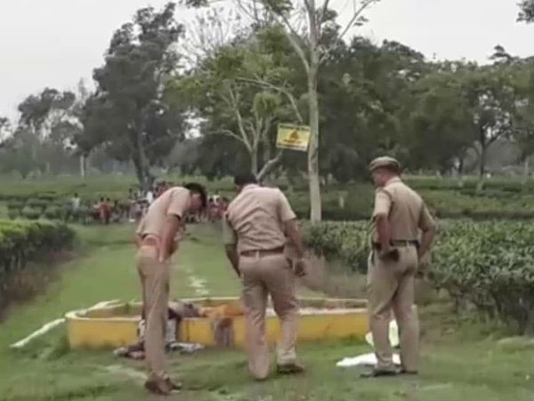 আলিপুরদুয়ারের চা বাগানে মুণ্ডহীন মৃতদেহ উদ্ধার আলিপুরদুয়ারের চা বাগানে মুণ্ডহীন মৃতদেহ উদ্ধার