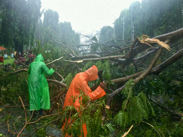 ফণীর নিখুঁত পূর্বাভাস! আবহাওয়া দফতরের প্রশংসায় রাষ্ট্রসংঘ ফণীর নিখুঁত পূর্বাভাস! আবহাওয়া দফতরের প্রশংসায় রাষ্ট্রসংঘ