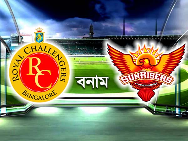 প্লে অফে উঠতে হলে ব্যাঙ্গালোরকে হারাতেই হবে হায়দরাবাদকে প্লে অফে উঠতে হলে ব্যাঙ্গালোরকে হারাতেই হবে হায়দরাবাদকে