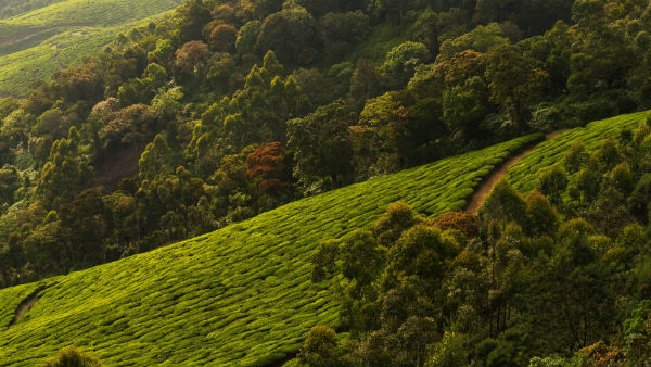 ঝরনায় বৃষ্টিপাত