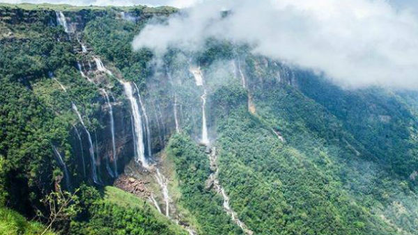 মেঘালয়ে রুট ব্রিজ