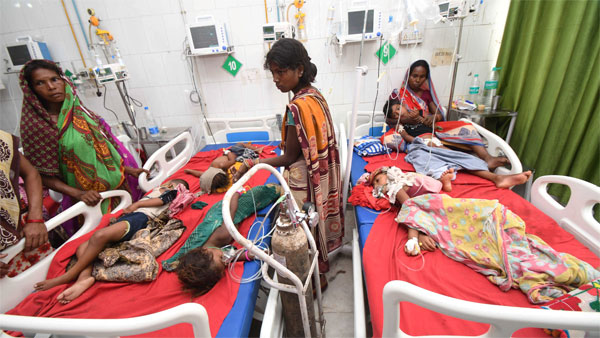 কেন অ্যাসবেসটাসকে দায়ী করা হচ্ছে?