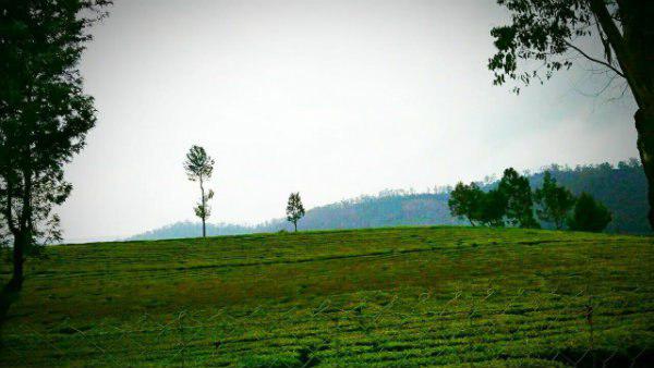 'মেঘের সাম্রাজ্যে'র আবহাওয়া!