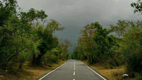 গাড়ি ছুটছে জঙ্গল দিয়ে...