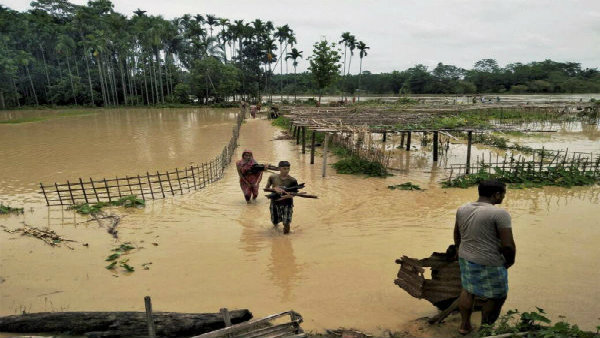 ছাড়াল ১০০ বছরের রেকর্ড