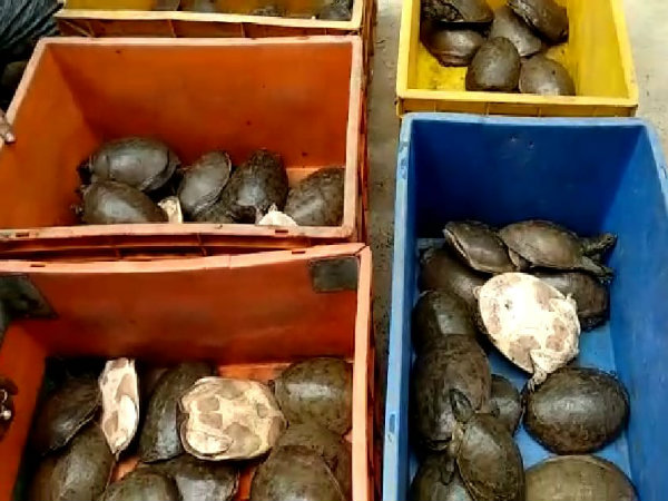 বনদপ্তর বনদপ্তর
