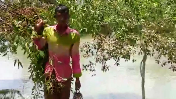 চলছে চোরাচালান