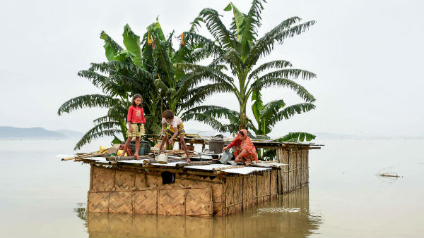ইঁদুর খেয়ে বাঁচতে হচ্ছে !
