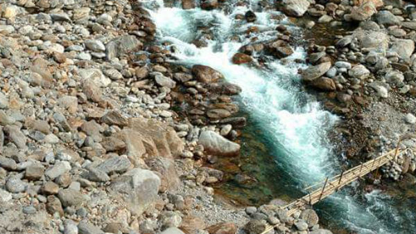 ডুয়ার্সের রানি জয়ন্তী