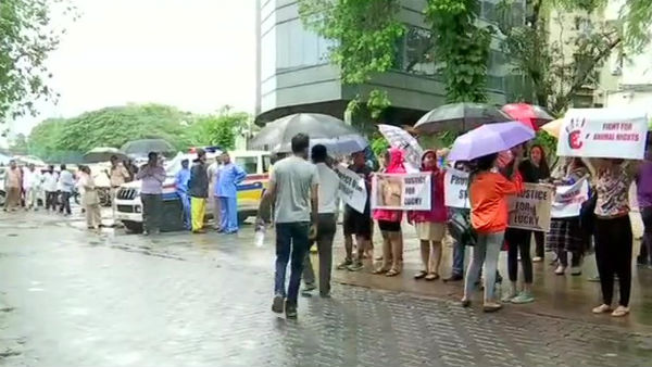 দেশ জুড়ে ডাক্তারদের কর্মবিরতিতে কলকাতায় কী প্রভাব পড়ল দেশ জুড়ে ডাক্তারদের কর্মবিরতিতে কলকাতায় কী প্রভাব পড়ল