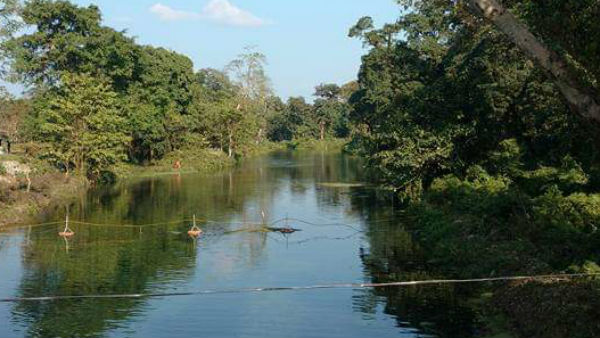 টোটো পাড়া